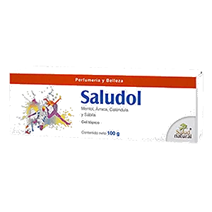 SALUDOL 100G GEL