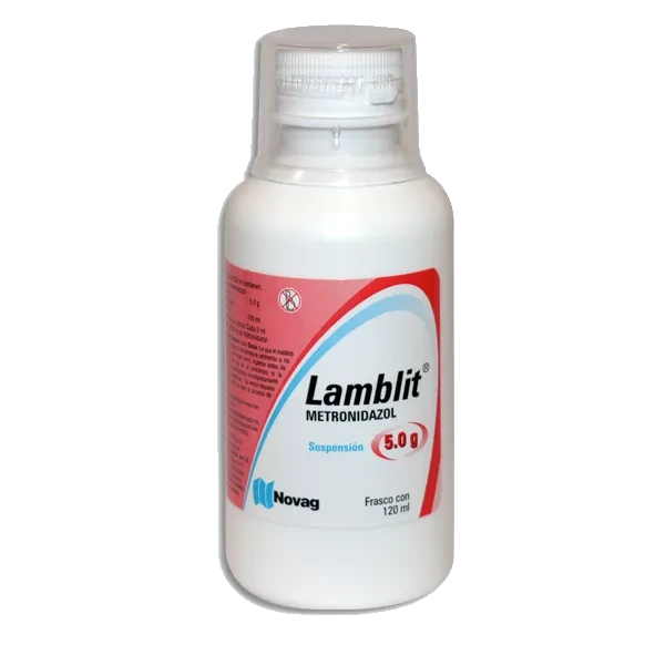 LAMBLIT 1 SUSP 250MG/5/120 ML