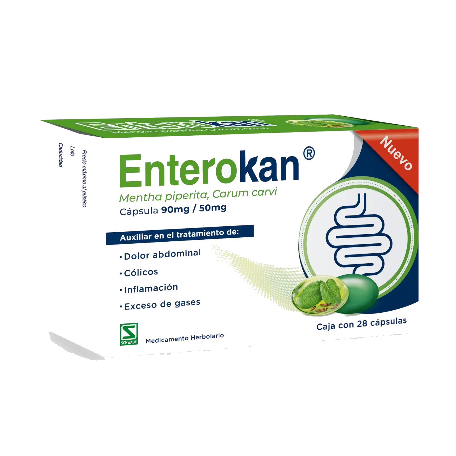 Enterokan Caja Con 28 Cápsulas