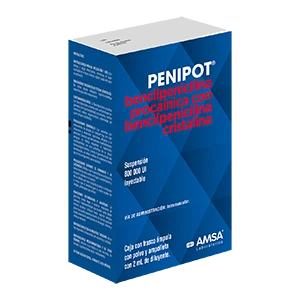 PENIPOT 800 000 1AMP SOL