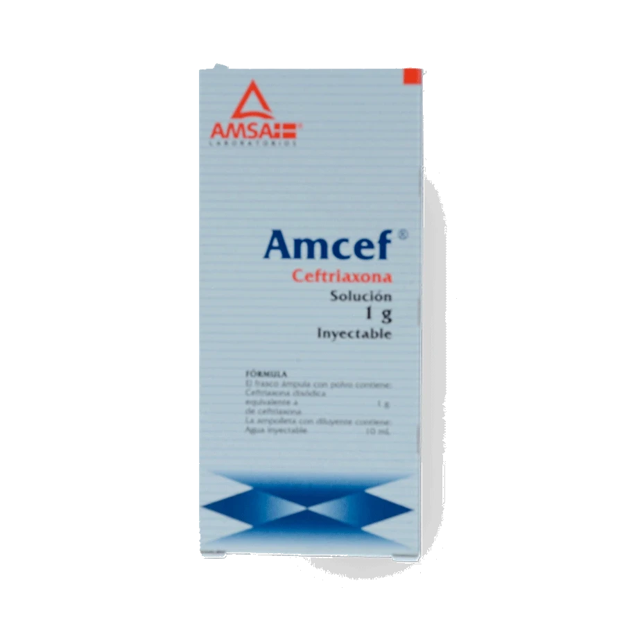 AMCEF (CEFTRIAXONA IV 1G) 1AMP SOL