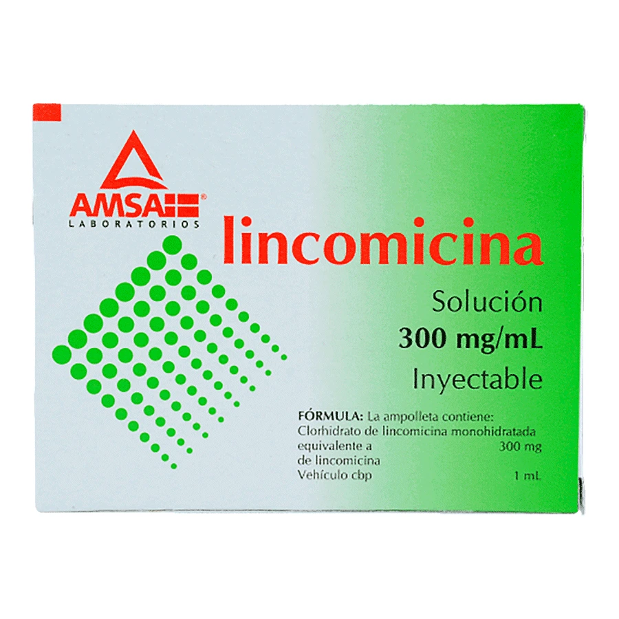 LINCOMICINA 300MG AMSA