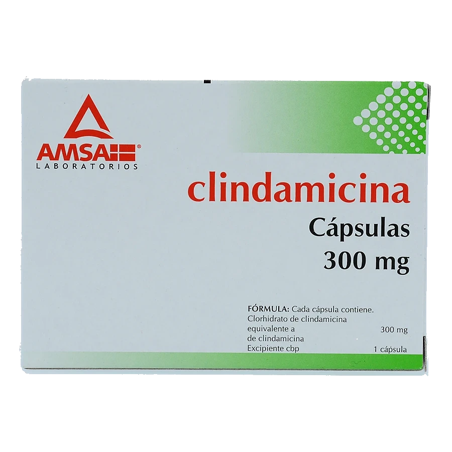 CLINDAMICINA 300MG (KLIN-AMSA) 16CAPS