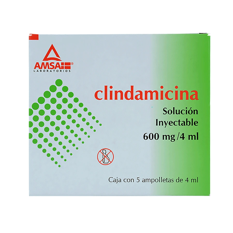 CLINDAMICINA 600MG/4ML(CLINAMSA)5AMP SOL