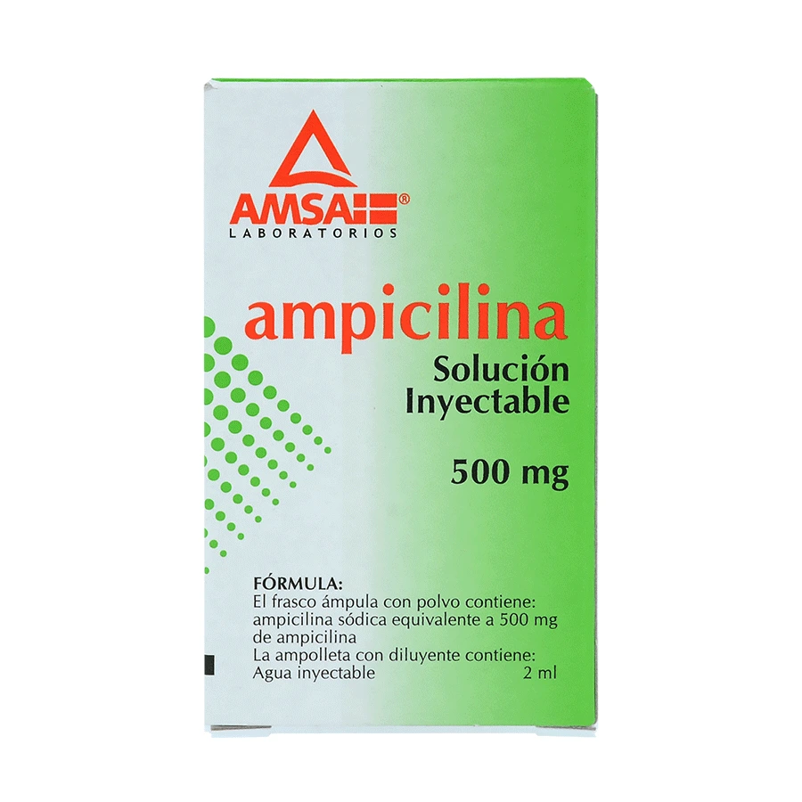 Ampicilina 500 Mg Solución Inyectable Frasco Ámpula Genérico Amsa