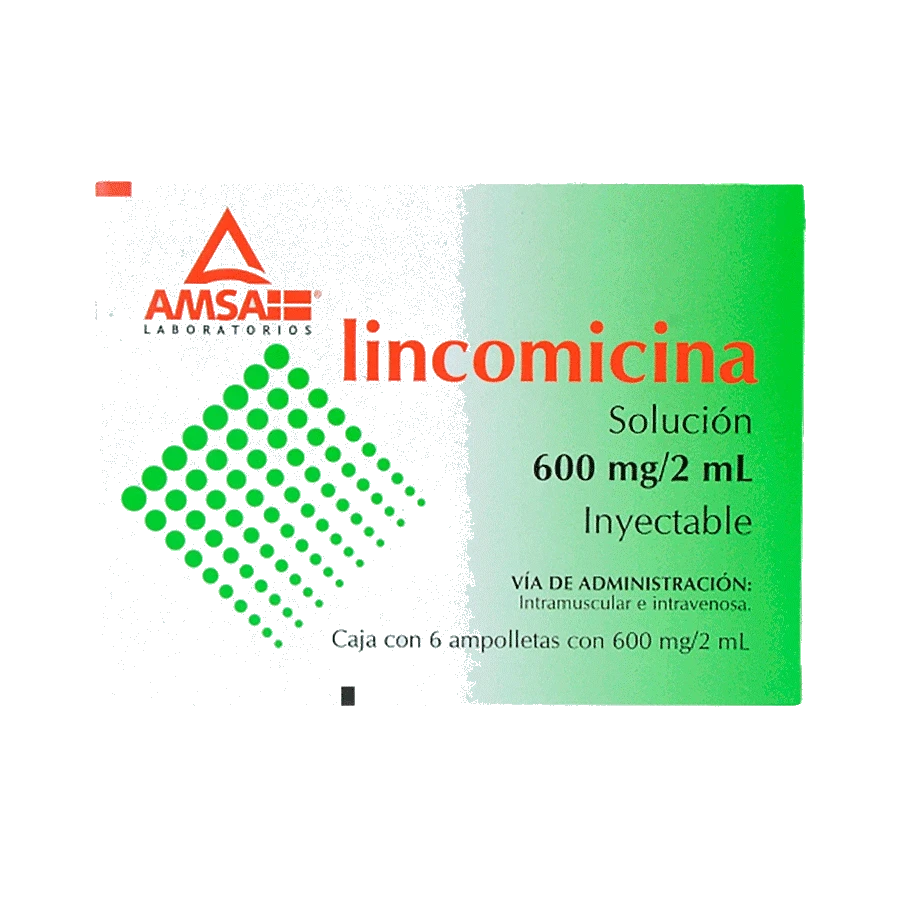 LINCOMICINA 600MG AMSA