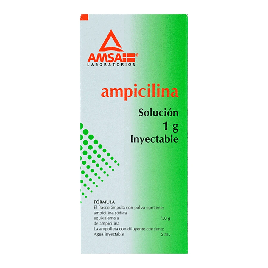 AMPICILINA 1GR AMSA