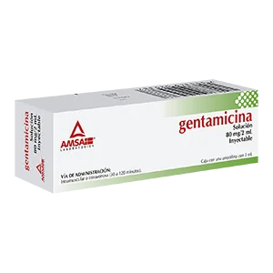 GENTAMICINA 80MG/2ML (GARAMSA) 1AMP SOL