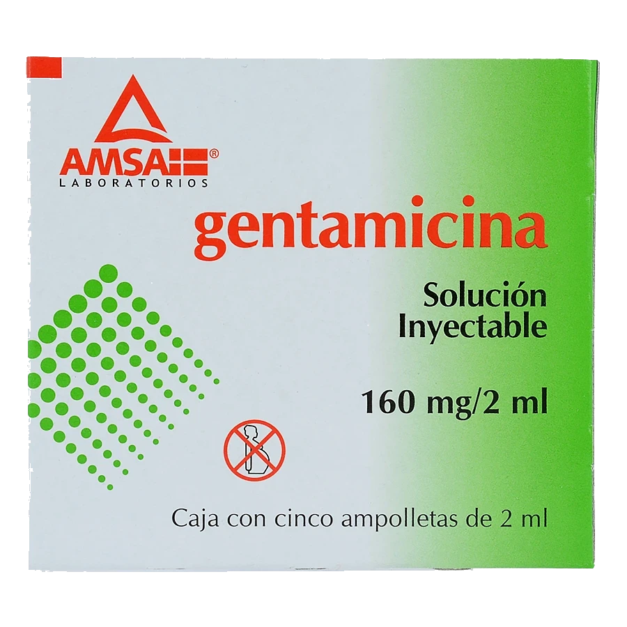 GENTAMICINA 160MG/2ML (GARAMSA)5AMP SOL
