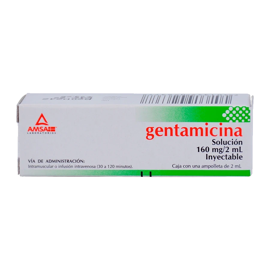 Gentamicina 160 Mg Solución Inyectable 2 Ml Genérico Amsa