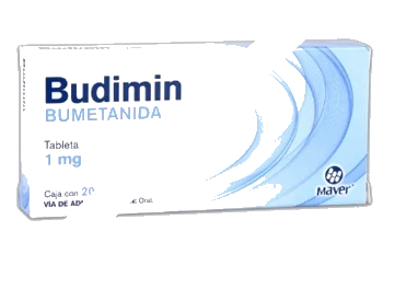 BUDIMIN