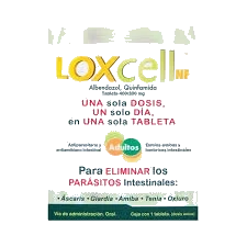 Loxcell NF 400/300 Mg 1 Tableta