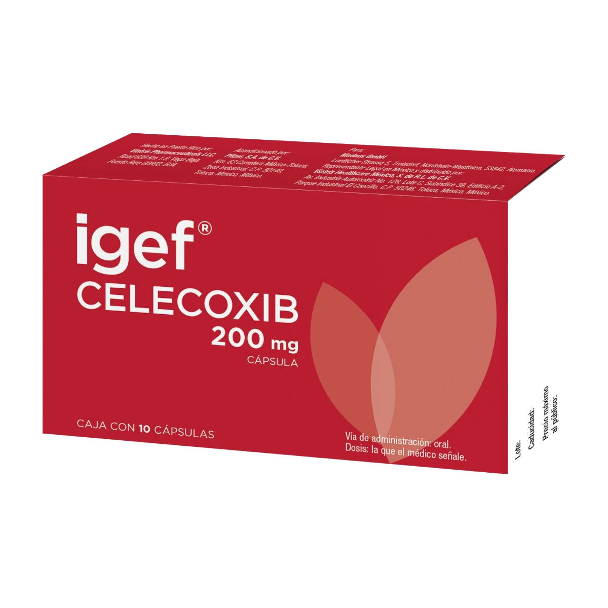 Igef 200 Mg 10 Cápsulas Vitales
